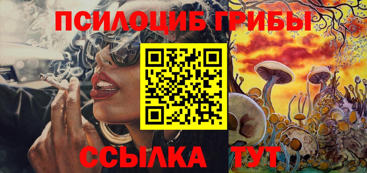 Псилоцибиновые грибы MAGIC MUSHROOMS Россошь