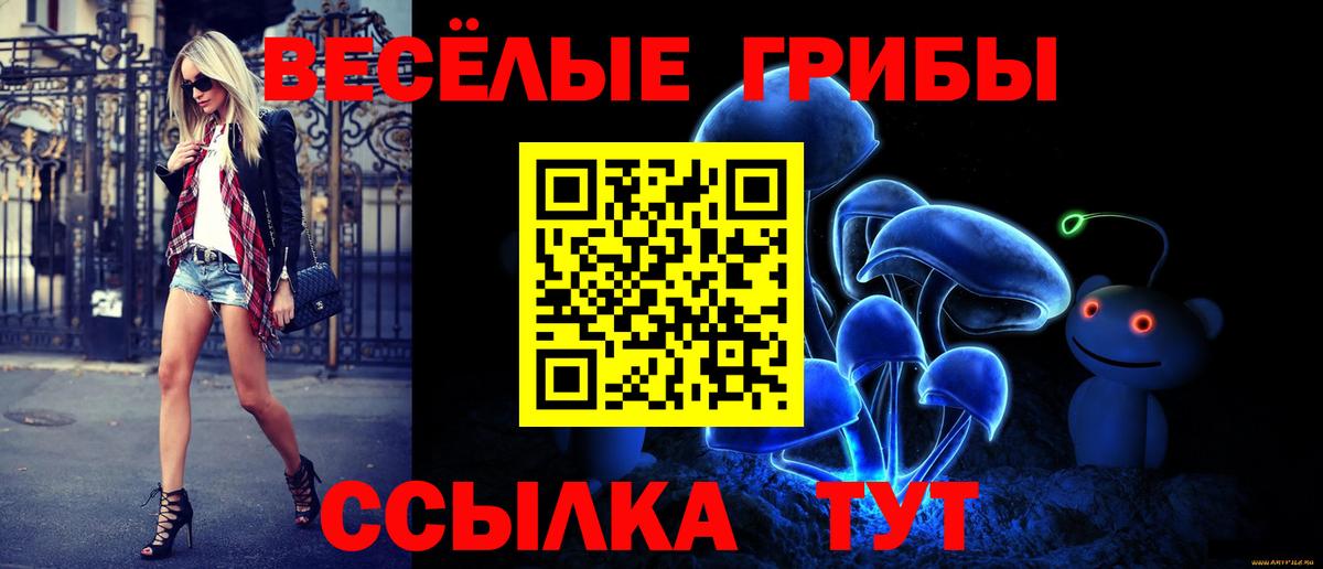 Галлюциногенные грибы мухоморы  Вход с VPN  Галлюциногенные грибы Psilocybine cubensis  Россошь 